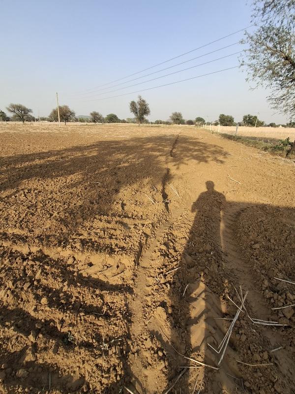  18 Bigha Agricultural/Farm Land for Sale in Kund, Rewari, 