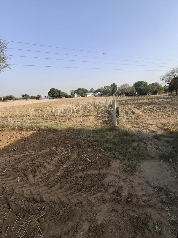  18 Bigha Agricultural/Farm Land for Sale in Kund, Rewari, 