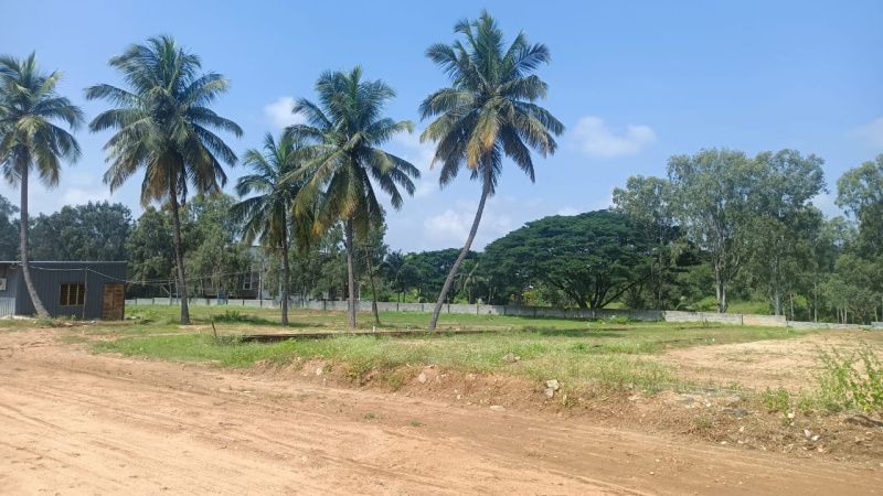  1200 Sq.ft. Residential Plot for Sale in Bidadi, Bangalore