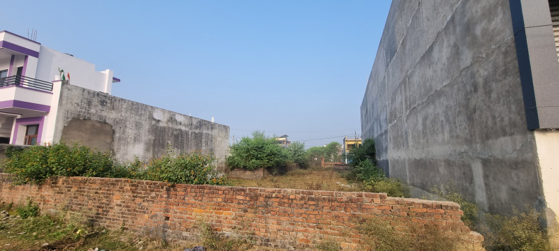 1365 Sq.ft. Warehouse for Rent in Amrai Gaon, Lucknow