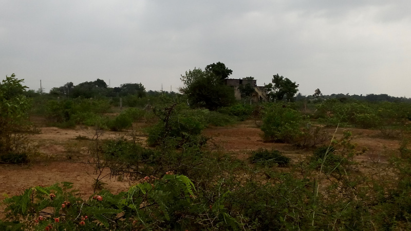 2570 Sq.ft. Residential Plot for Sale in Pillaiyarpatti, Thanjavur