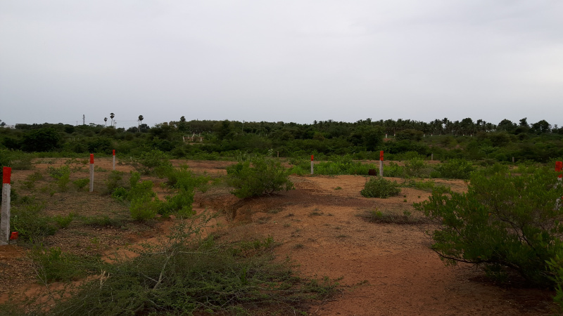  2570 Sq.ft. Residential Plot for Sale in Pillaiyarpatti, Thanjavur