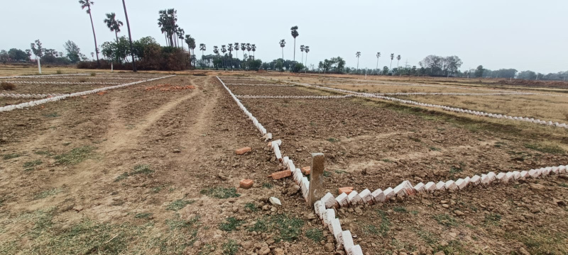  1200 Sq.ft. Residential Plot for Sale in Bihta, Patna