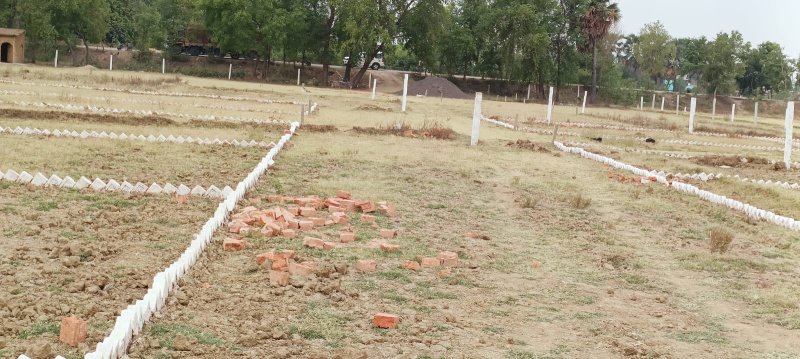  1200 Sq.ft. Residential Plot for Sale in Bihta, Patna