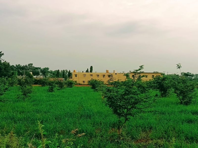 1 RK 16 Guntha Farm House for Sale in Vijayapura, Bangalore