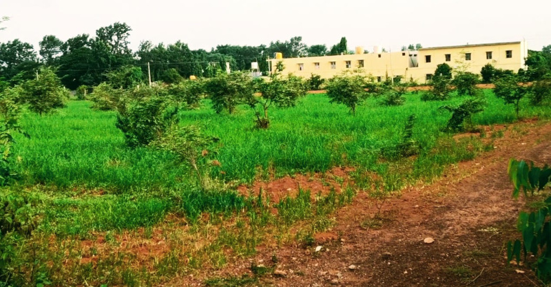 1 RK 16 Guntha Farm House for Sale in Vijayapura, Bangalore