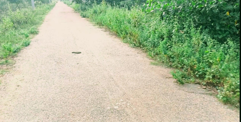 1 RK 16 Guntha Farm House for Sale in Vijayapura, Bangalore