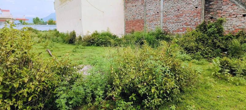  100 Sq. Yards Residential Plot for Sale in Shyampur, Rishikesh
