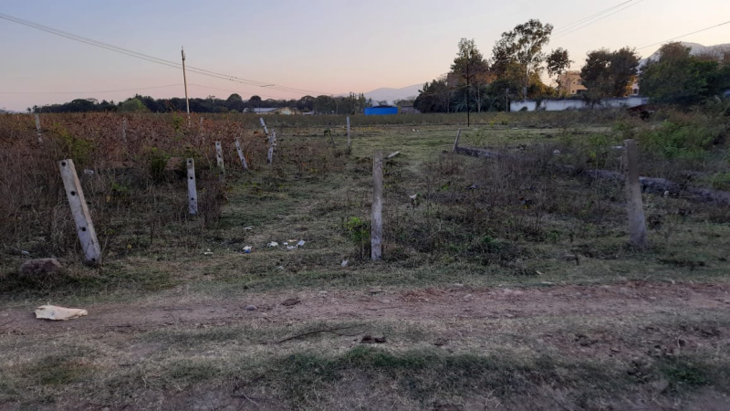  1800 Sq.ft. Residential Plot for Sale in Jaykaypur, Rayagada