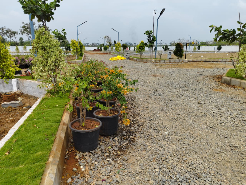  700 Sq.ft. Residential Plot for Sale in Singaperumalkoil, Kanchipuram