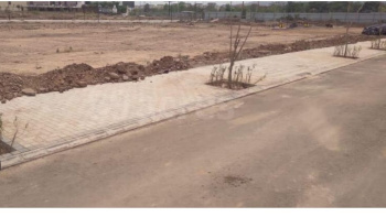  Residential Plot for Sale in Sector 25 Panchkula