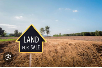  Residential Plot for Sale in Sector 25 Panchkula