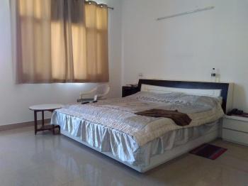 3 BHK Flat for Sale in Sector 20 Panchkula