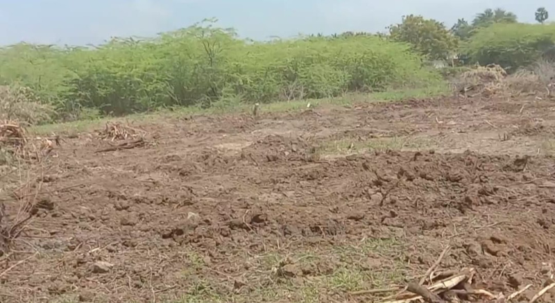  2100 Sq.ft. Residential Plot for Sale in Poraiyar, Nagapattinam