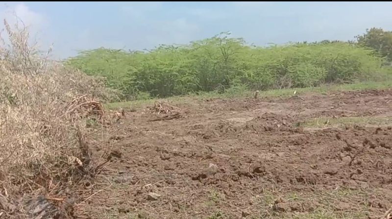  2100 Sq.ft. Residential Plot for Sale in Poraiyar, Nagapattinam