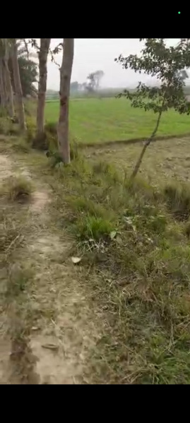  Residential Plot 14000 Sq.ft. for Sale in Jagatpur, Madhubani