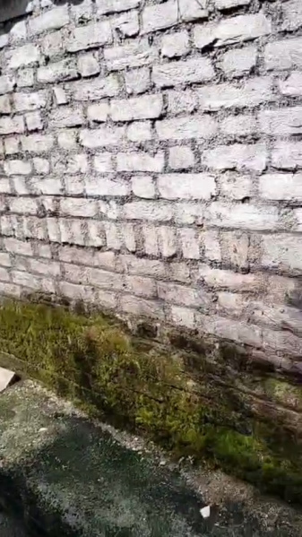  900 Sq.ft. Residential Plot for Sale in Sita Ram Colony, Guna