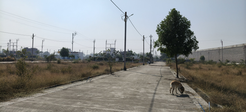  800 Sq.ft. Residential Plot for Sale in Dewas Road, Ujjain