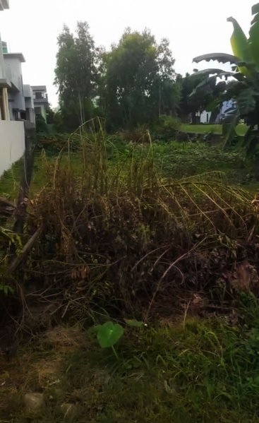  2348 Sq.ft. Residential Plot for Sale in Prempur Loshgyani, Haldwani