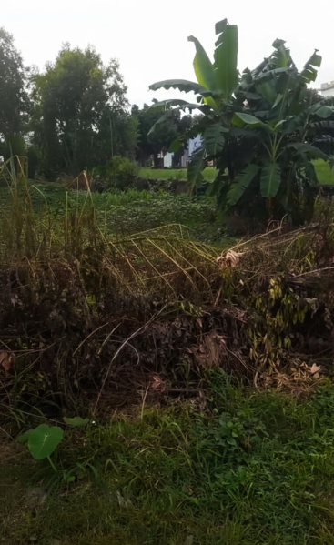  2348 Sq.ft. Residential Plot for Sale in Prempur Loshgyani, Haldwani