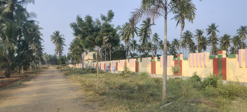  200 Sq. Yards Residential Plot for Sale in Pusapatirega, Vizianagaram