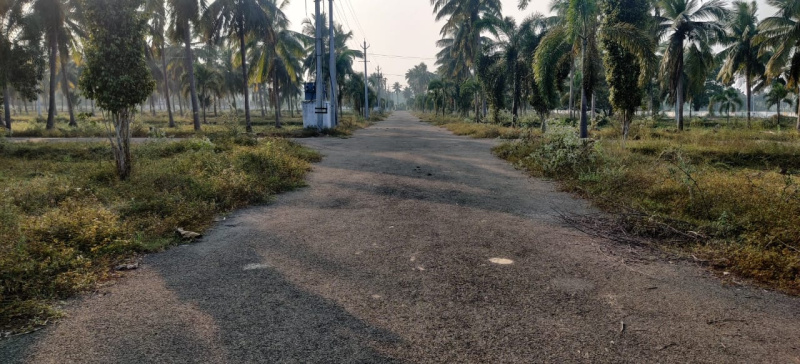  200 Sq. Yards Residential Plot for Sale in Pusapatirega, Vizianagaram