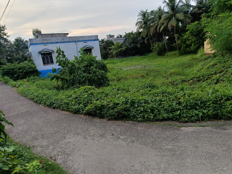  4 Dismil Residential Plot for Sale in Haldia, Medinipur