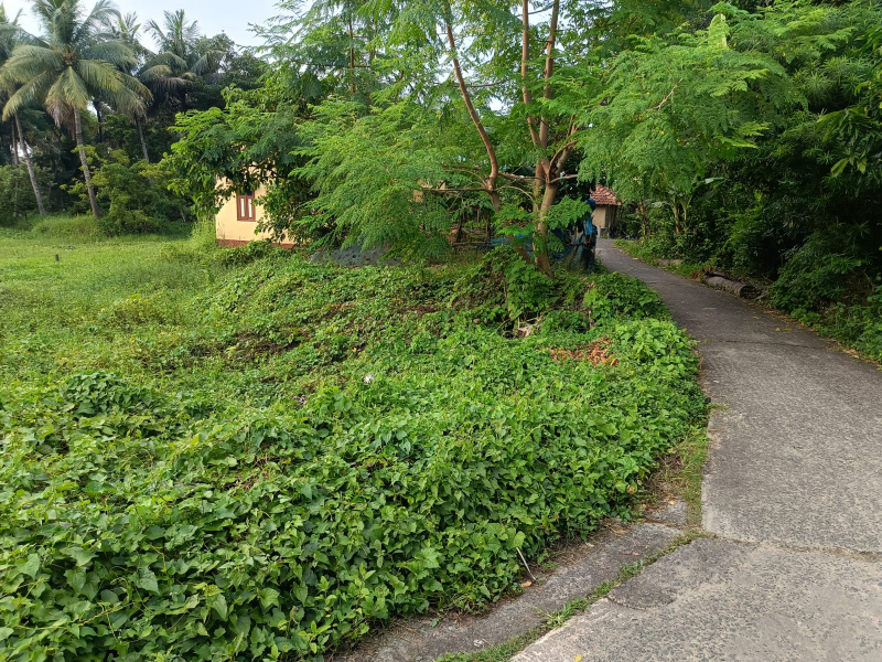  4 Dismil Residential Plot for Sale in Haldia, Medinipur