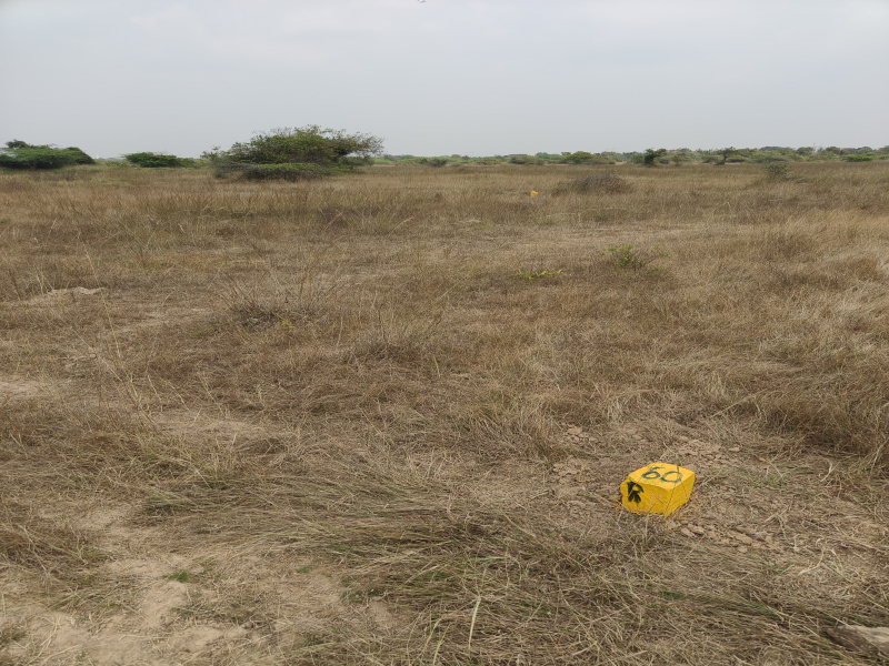  2002 Sq.ft. Residential Plot for Sale in Sriperumbudur, Chennai