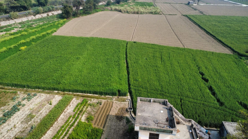  12 Acre Agricultural/Farm Land for Sale in Garhshankar, Hoshiarpur
