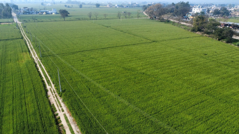  12 Acre Agricultural/Farm Land for Sale in Garhshankar, Hoshiarpur