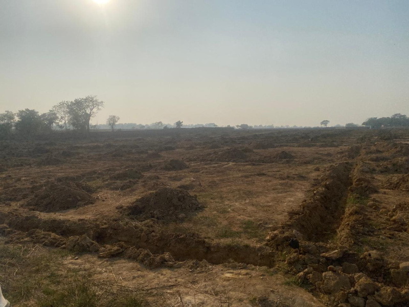  39639 Sq.ft. Residential Plot for Sale in Rajnagar, Seraikela