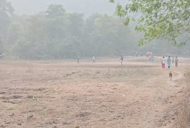  1089 Sq.ft. Agricultural/Farm Land for Sale in Manor, Palghar