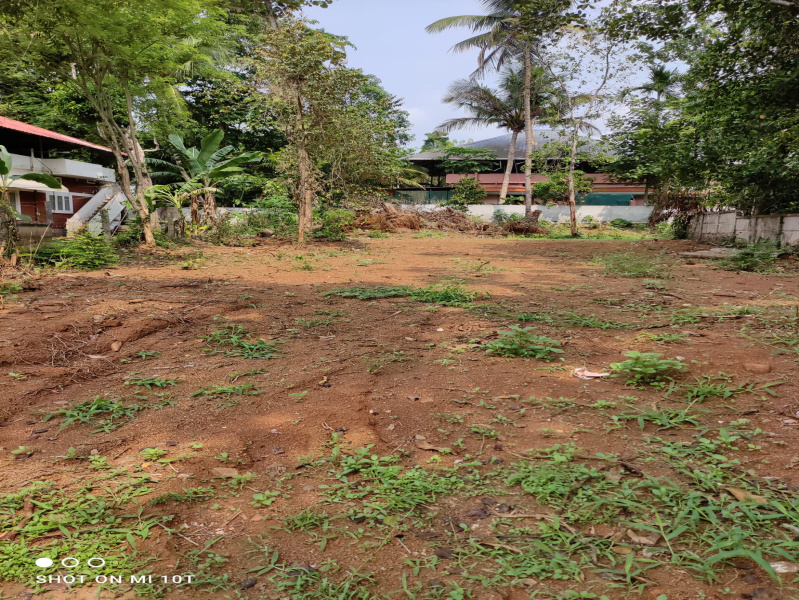  425 Sq.ft. Residential Plot for Sale in Wadakkanchery, Thrissur
