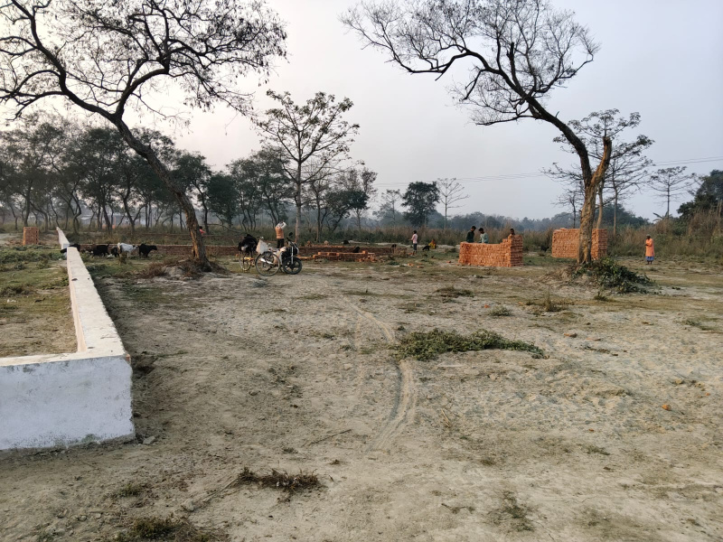  6000 Sq.ft. Residential Plot for Sale in Hetimpur, Kushinagar