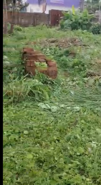  26 Katha Industrial Land for Sale in Chirukandi, Silchar