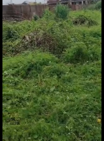  26 Katha Industrial Land for Sale in Chirukandi, Silchar