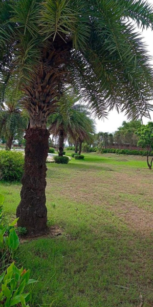  166 Sq. Yards Residential Plot for Sale in Alwar Mega Highways