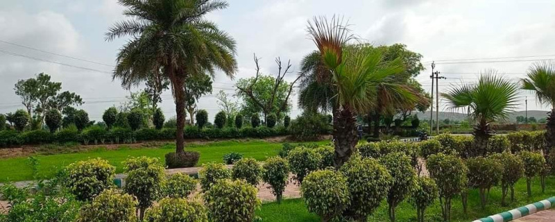  100 Sq. Yards Residential Plot for Sale in 200 Ft Road, Alwar