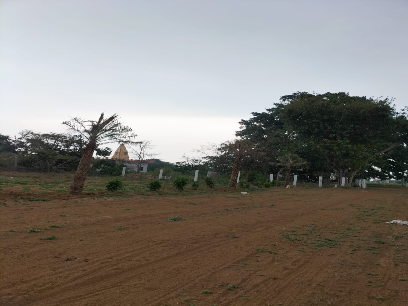  100 Sq. Yards Residential Plot for Sale in Lalsot, Dausa