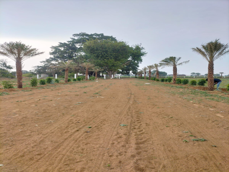  200 Sq. Yards Residential Plot for Sale in Lalsot, Dausa