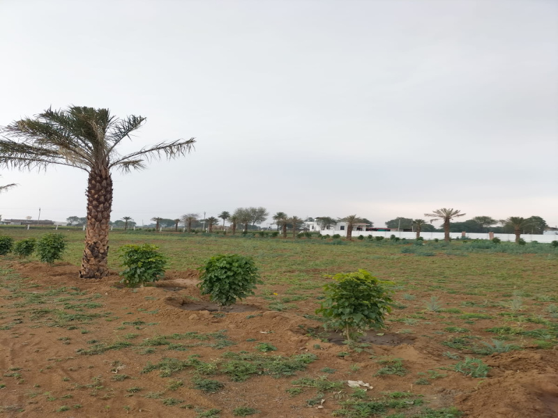  150 Sq. Yards Residential Plot for Sale in Lalsot, Dausa