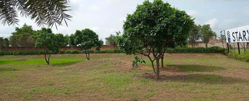  111 Sq. Yards Residential Plot for Sale in Alwar Mega Highways