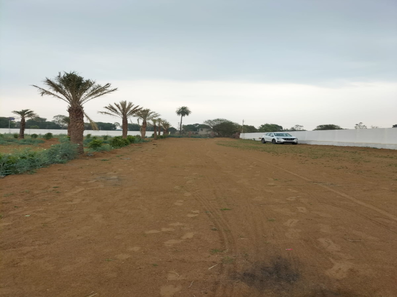 500 Sq. Yards Residential Plot for Sale in Lalsot, Dausa