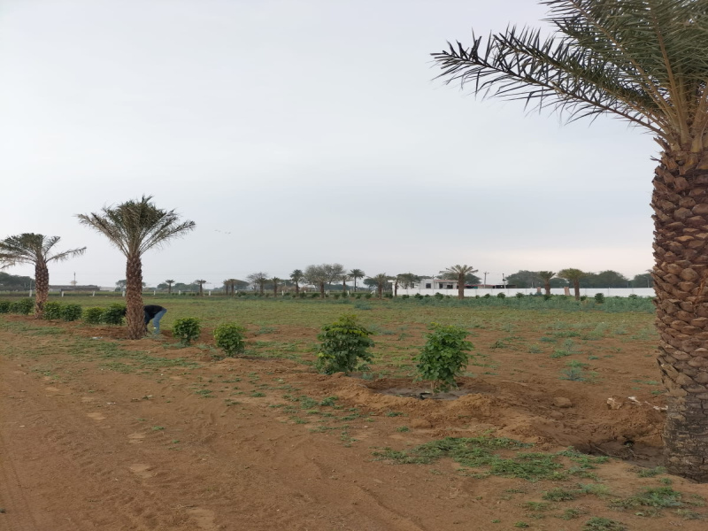  400 Sq. Yards Residential Plot for Sale in Lalsot, Dausa