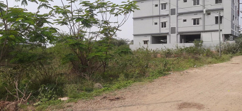  266 Sq. Yards Residential Plot for Sale in Subbaraopet, Tadepalligudem