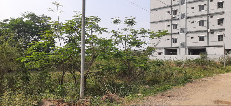  266 Sq. Yards Residential Plot for Sale in Subbaraopet, Tadepalligudem