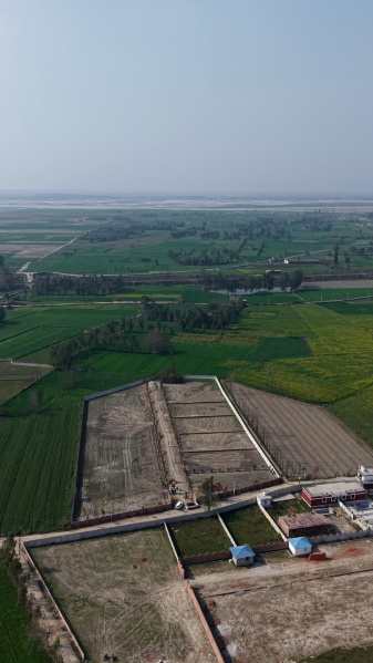  750 Sq. Yards Residential Plot for Sale in Garhmukteshwar, Hapur