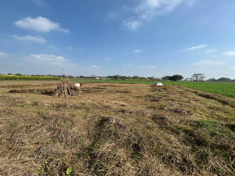  3713 Sq.ft. Commercial Land for Sale in Ayodhya, Faizabad