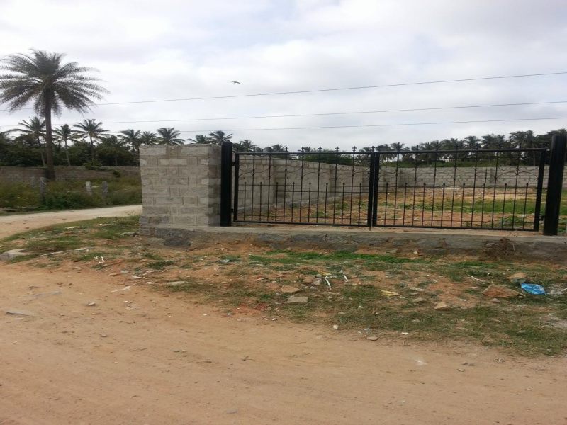  3150 Sq.ft. Residential Plot for Rent in Kalena Agrahara, Bangalore